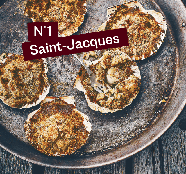 Recette de saint-jacques à la bretonne 