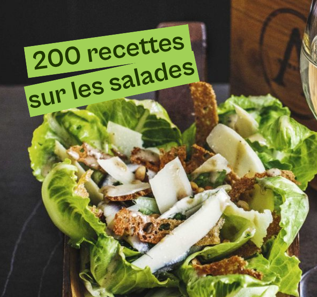 compilations recettes de salades 