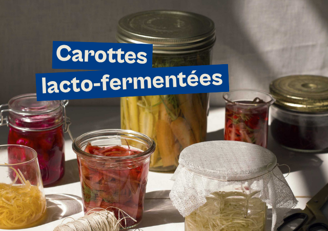 recette de carottes lacto fermentées